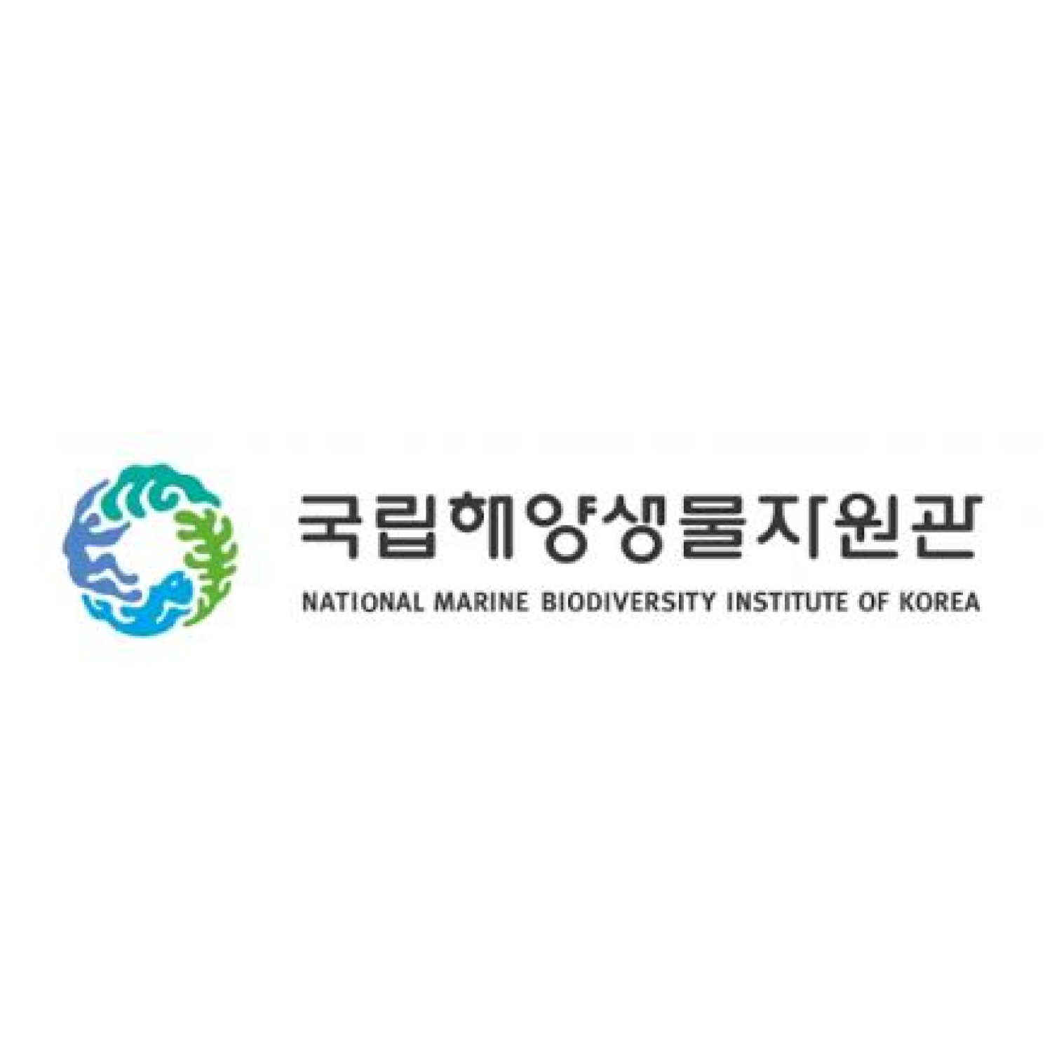채용 이미지