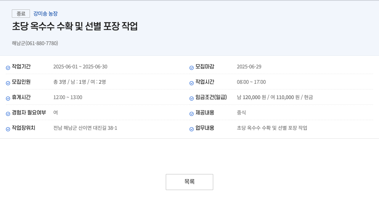 강미송농장 초당 옥수수 수확 및 선별 포장 작업 채용공고