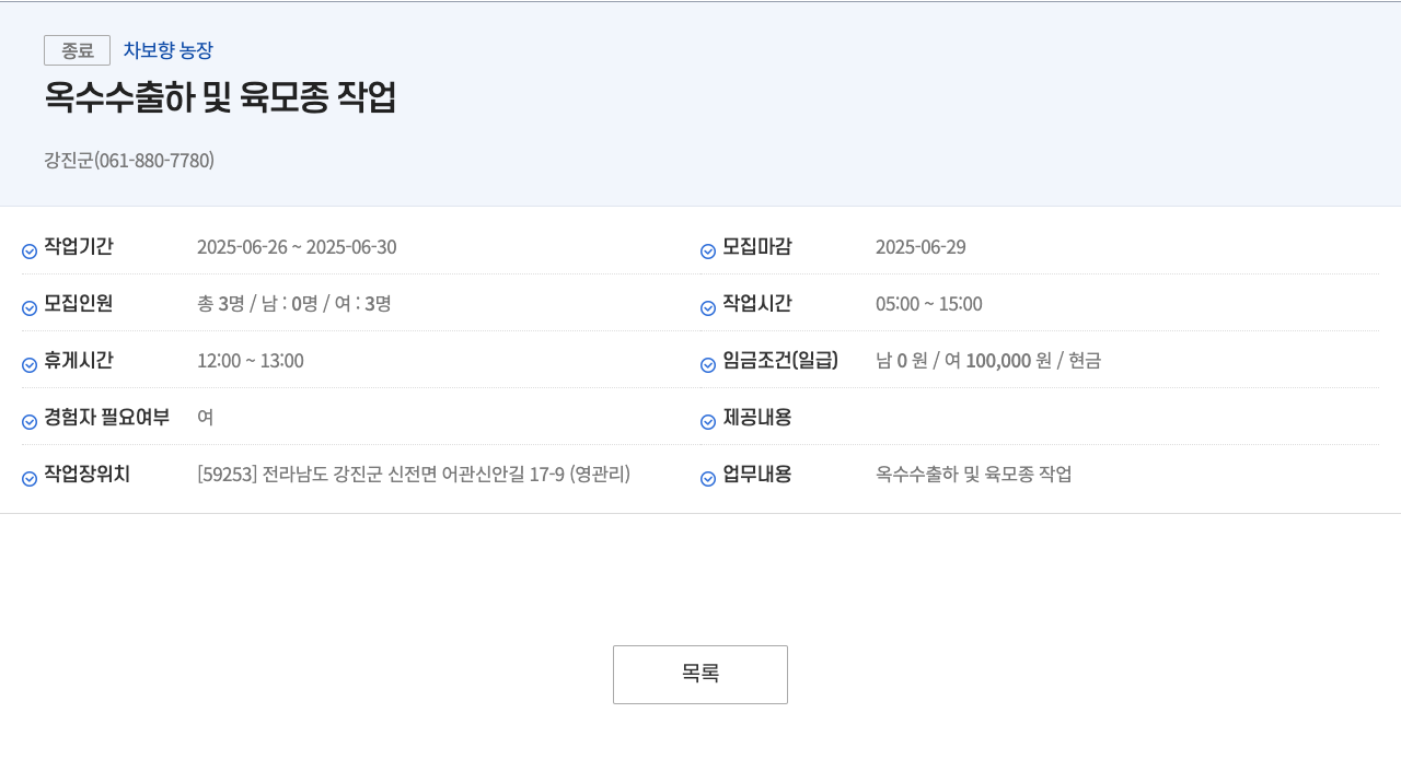 차보향농장 옥수수 출하 및 육 모종 작업 채용공고
